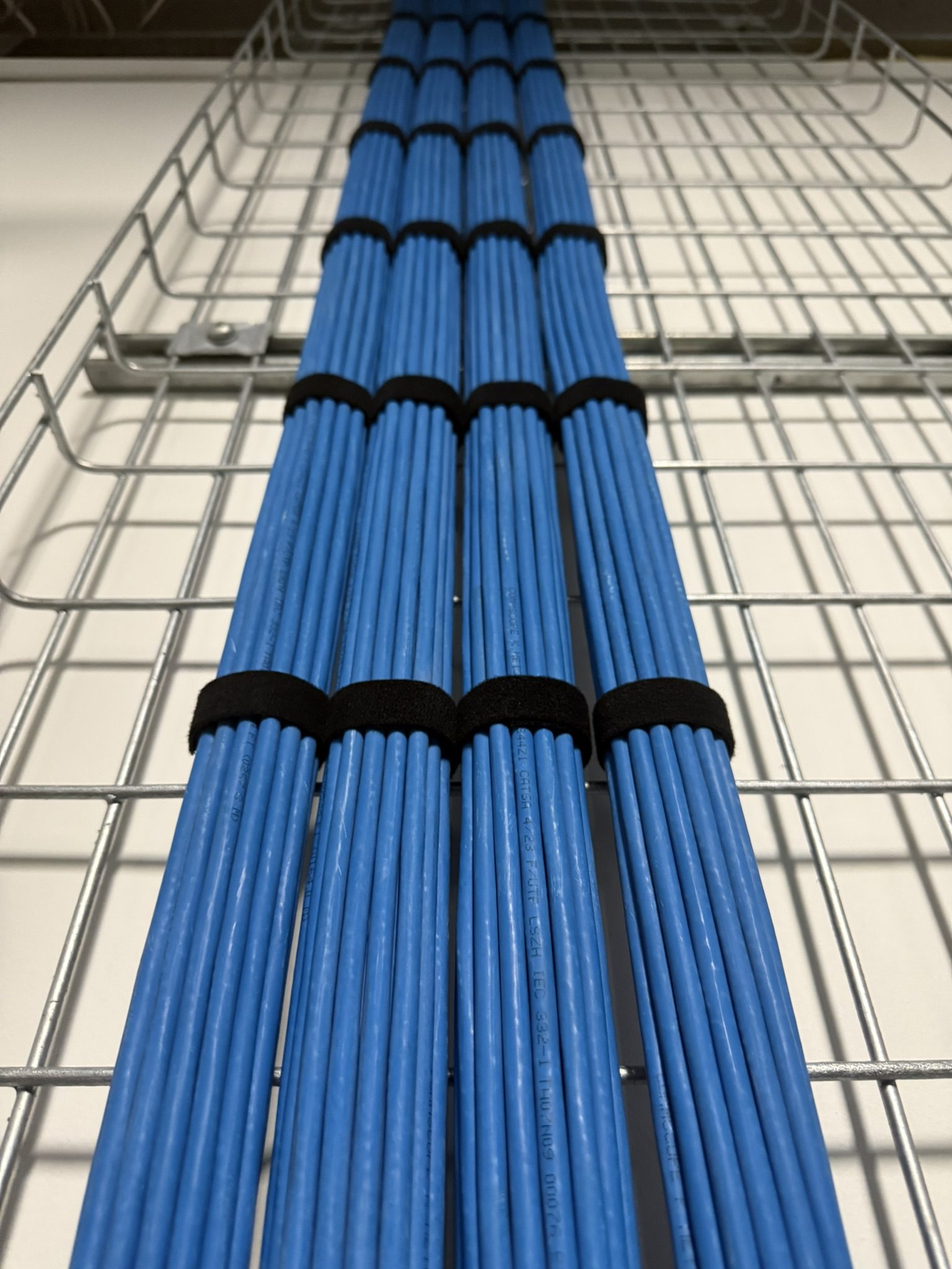 Hunter Water Tomago structured cabling project